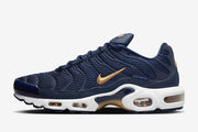 Nike Air Max Plus TN FFF