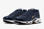 Nike Air Max Plus TN FFF